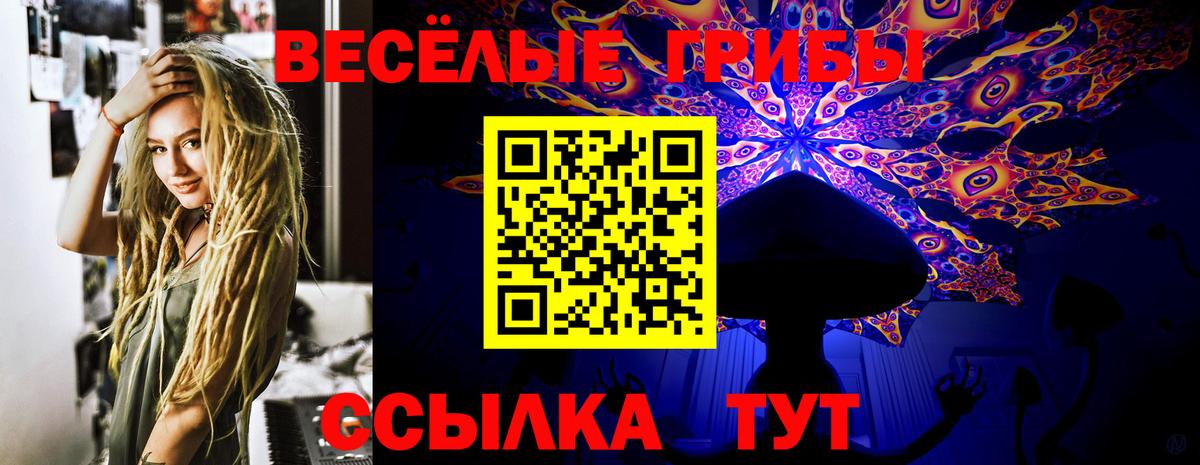 Псилоцибиновые грибы Cubensis  Вход с VPN  Галлюциногенные грибы прущие грибы  Артём 